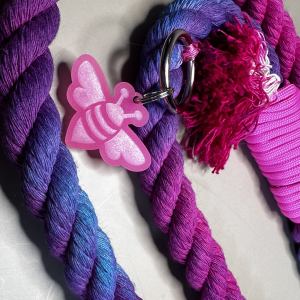Leashes