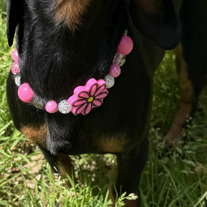 Pet Necklaces